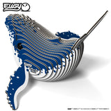 Humpback Whale - Eugy