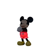 Disney Wisher Series 'A Little Wish' - Mickey & Friends - Urdu