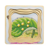 Life Cycle Butterfly Multilayer Puzzle - Beleduc