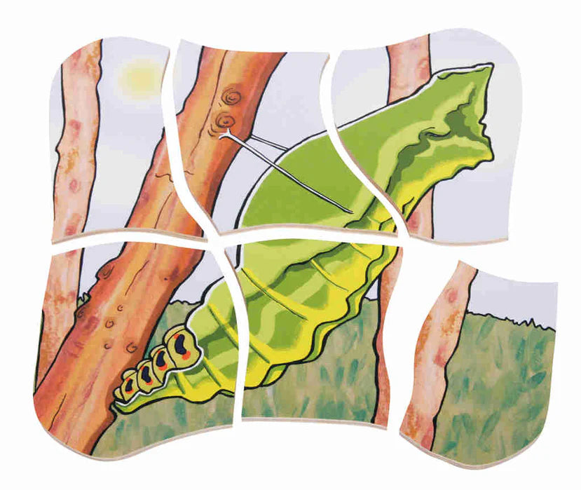 Slide image