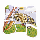 Life Cycle Butterfly Multilayer Puzzle - Beleduc
