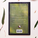 A Field Guide to Australian Fairies