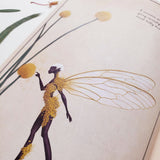 A Field Guide to Australian Fairies