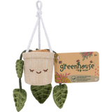 Adela Plush 4" Hanging Plant - Greenhouse