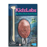 Shark Tooth Fossil Dig Glow Kit - Kidzlabs