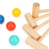 Croquet Lawn Game