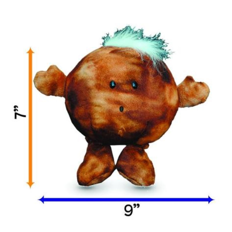 Slide image